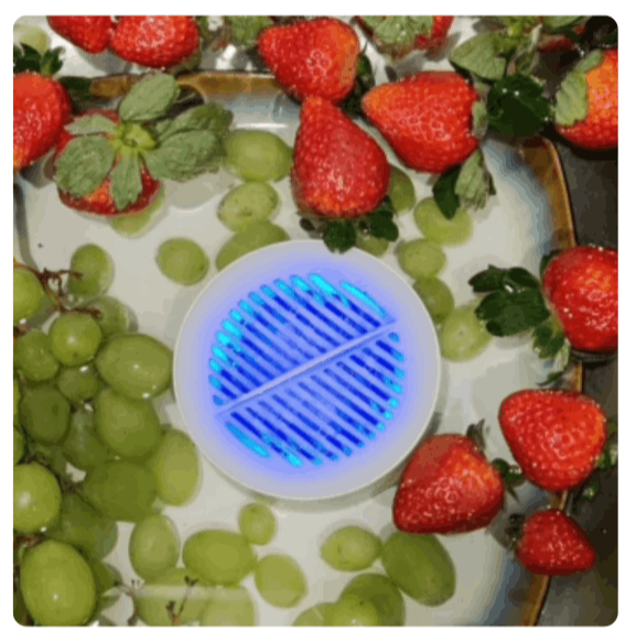 PuriBreeze Produce Cleaner user Liza K. 